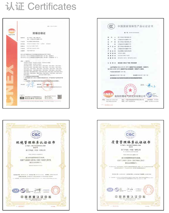 1MT0013系列粉尘防爆低压三相异步电动机