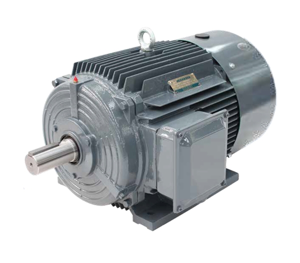 1TL0003超高效低压三相异步电动机